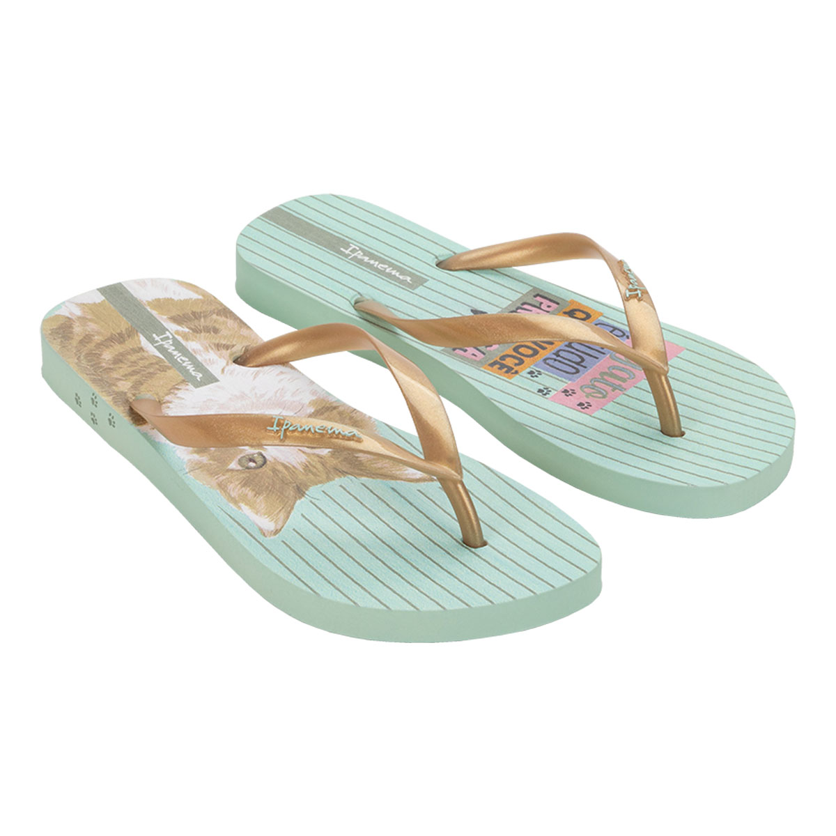 Sandalia Ipanema Diseno Flip Flop Pets