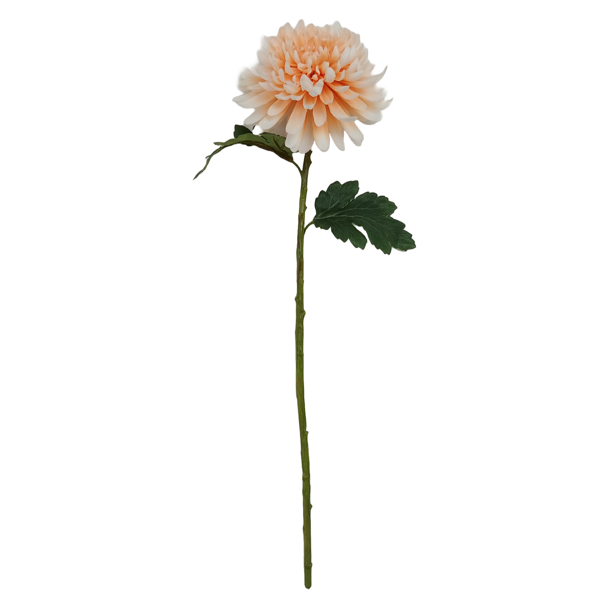 Flor Mum Dhalia Peach Vintage Home