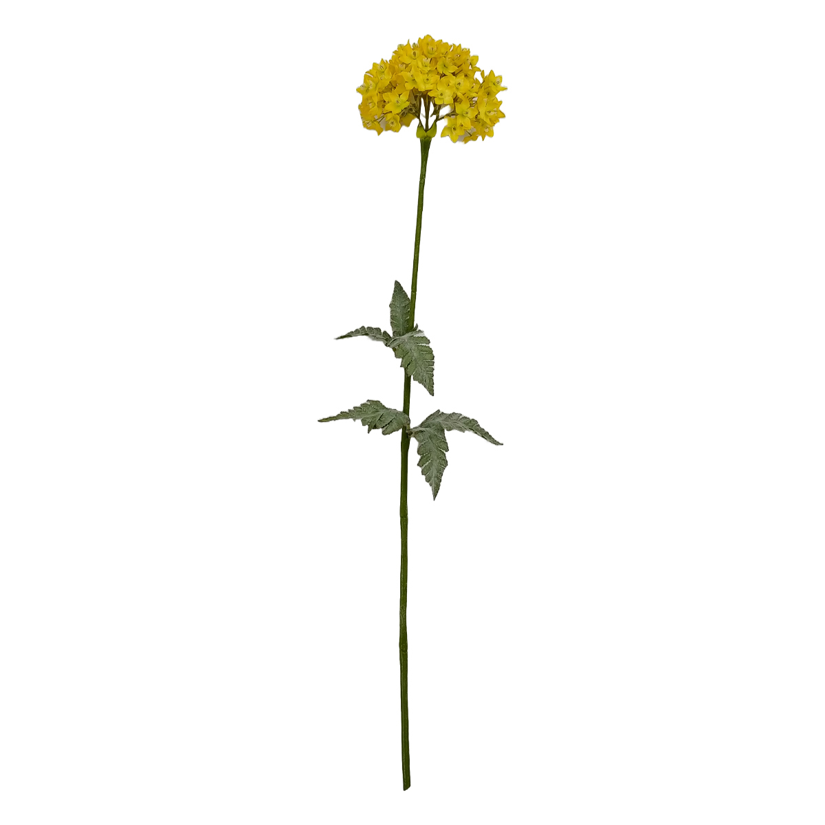 Flor Allium Yellow Vintage Home