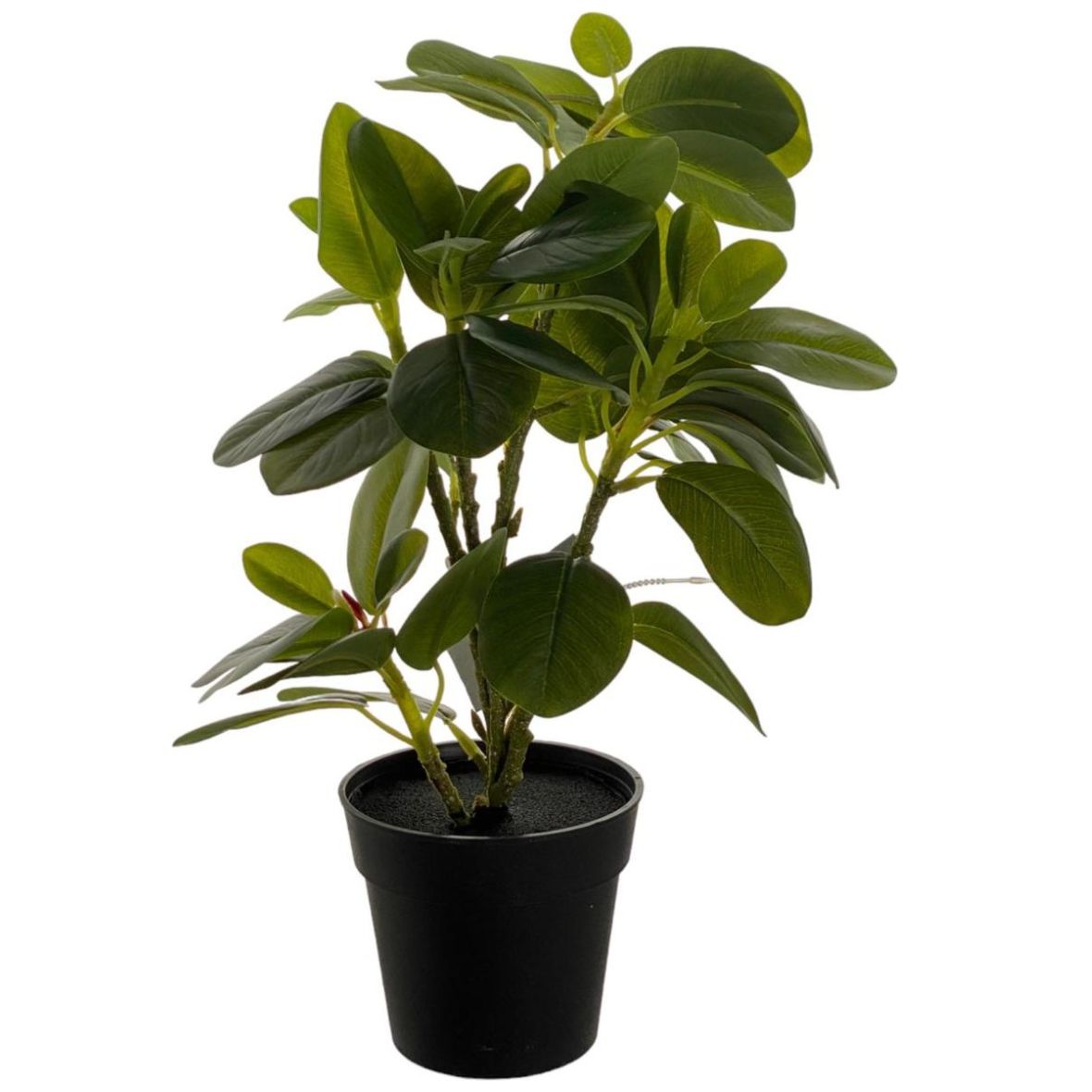 Planta Artificial Suculenta Verde 24X22X36Cm Concepts