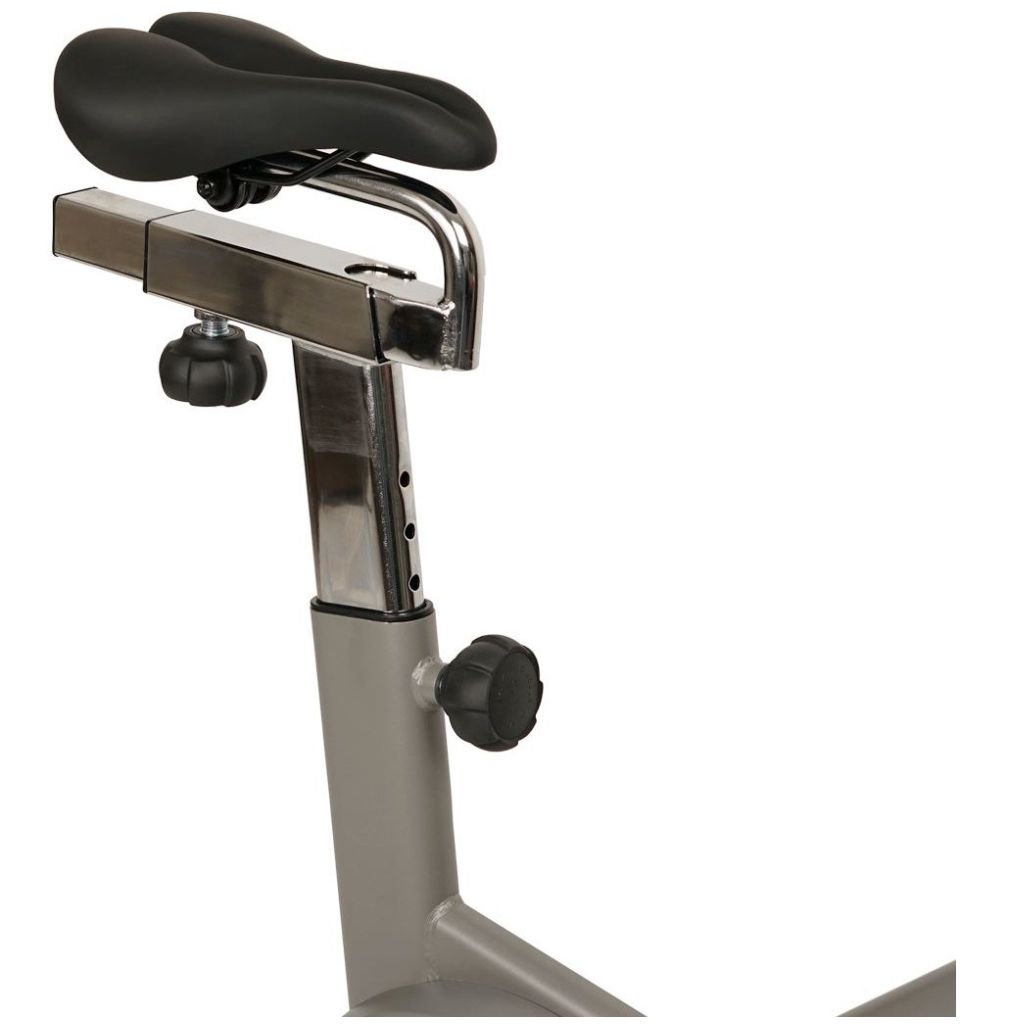 Bicicleta Sunny Sf-B1851 Magnética Synergy Pro