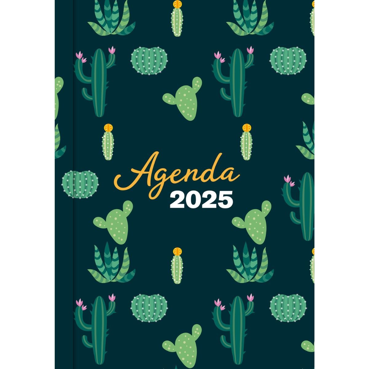 Agenda 2025 Cactus Vr Editoras