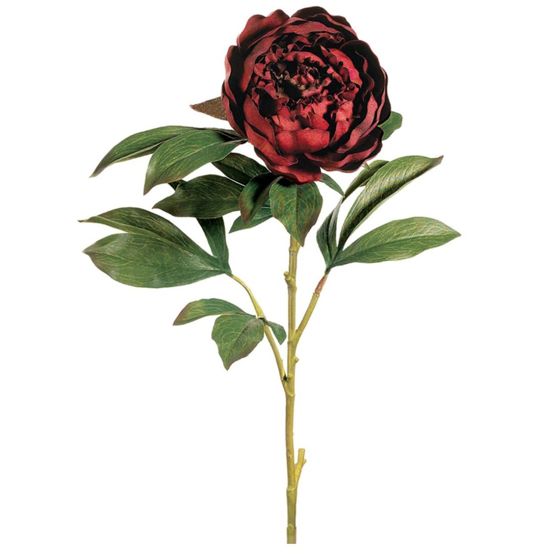 Peonia  Artificial 76 Cm Burgundy Lottus