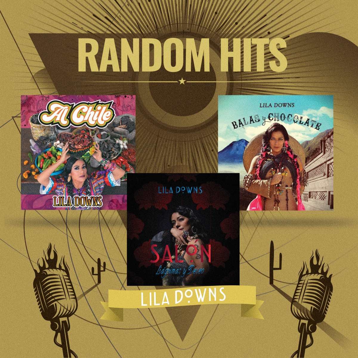 3Cds Lila Downs - Random Hits