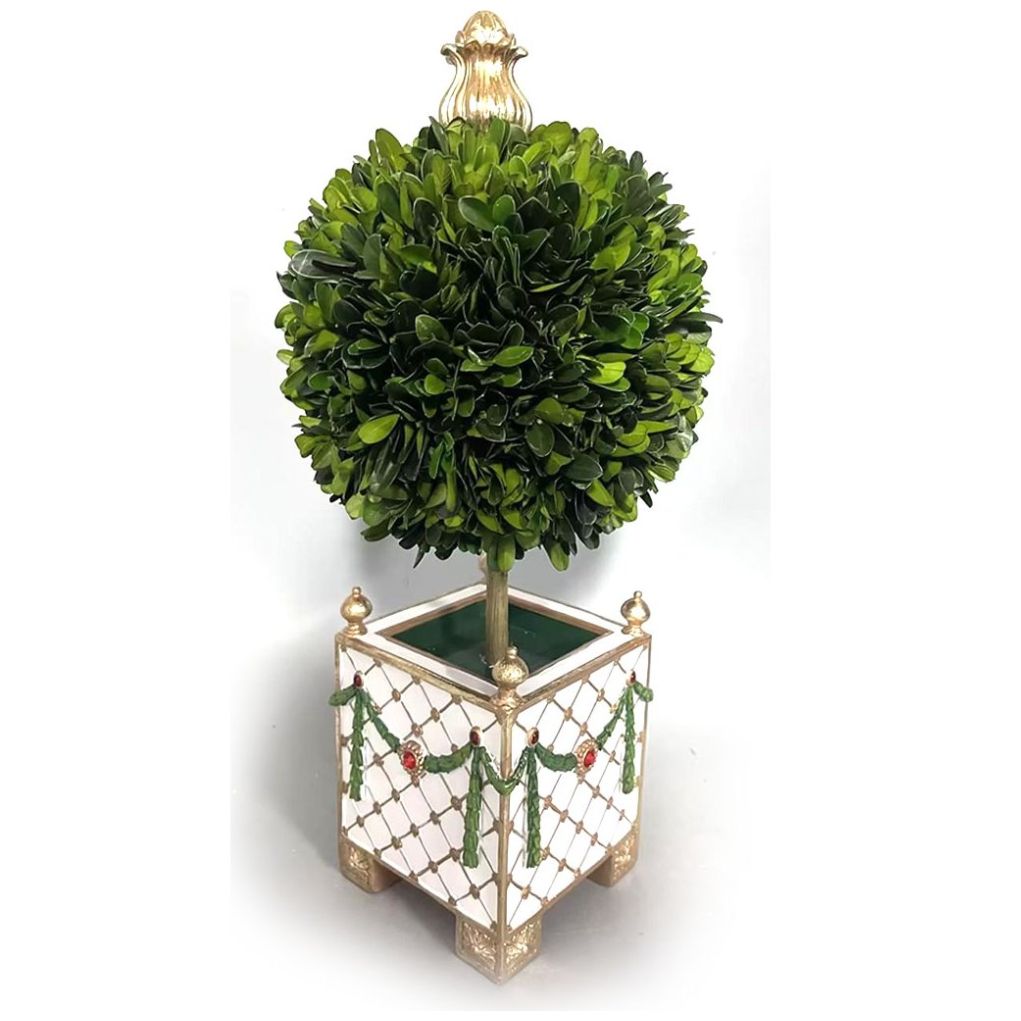 Maceta con Árbol de Boj Verde 40Cm Gto