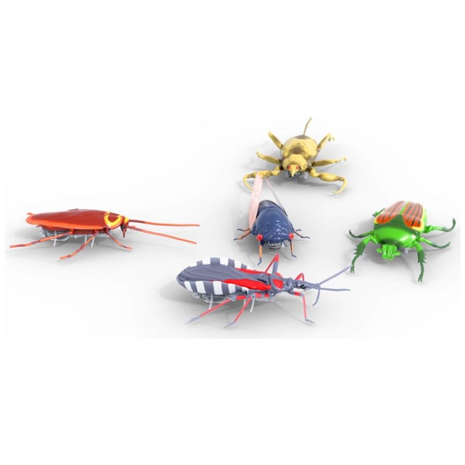 Nano Real Bugs 5 Pack Spin Master