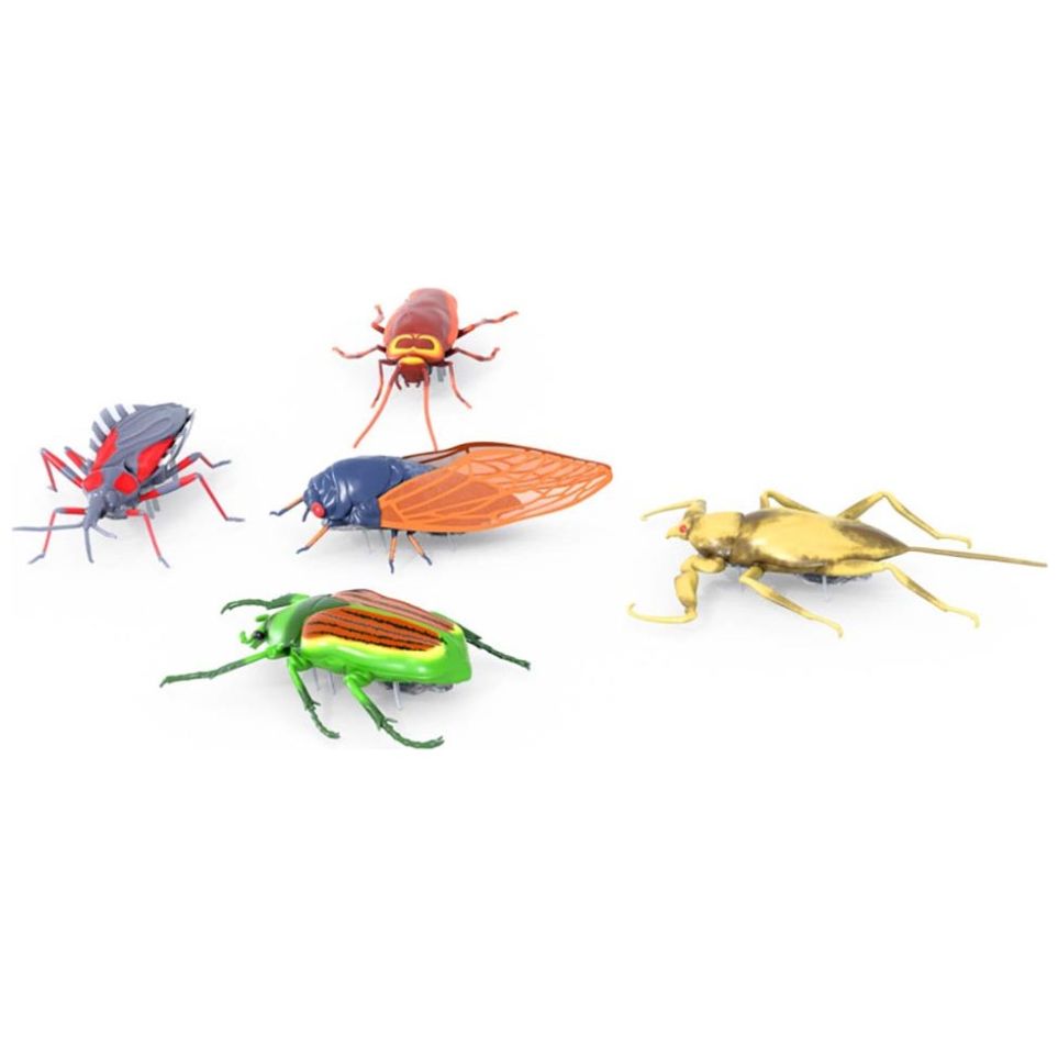 Nano Real Bugs 5 Pack Spin Master