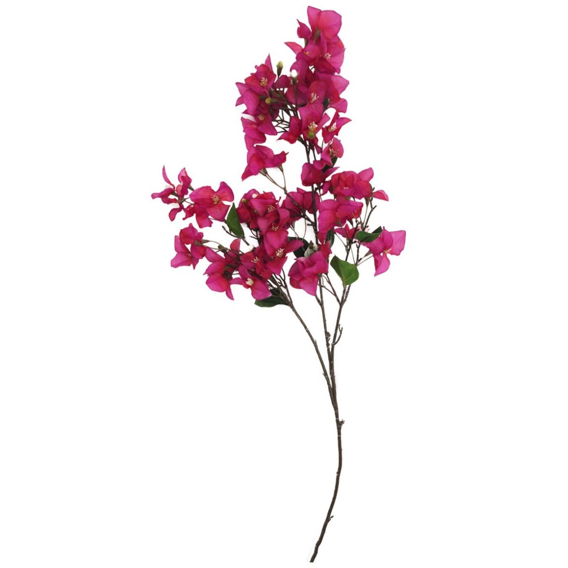 Vara Buganvilia 102 Cm Fucsia Lottus