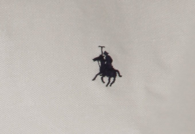 Playera Básica Polo Club
