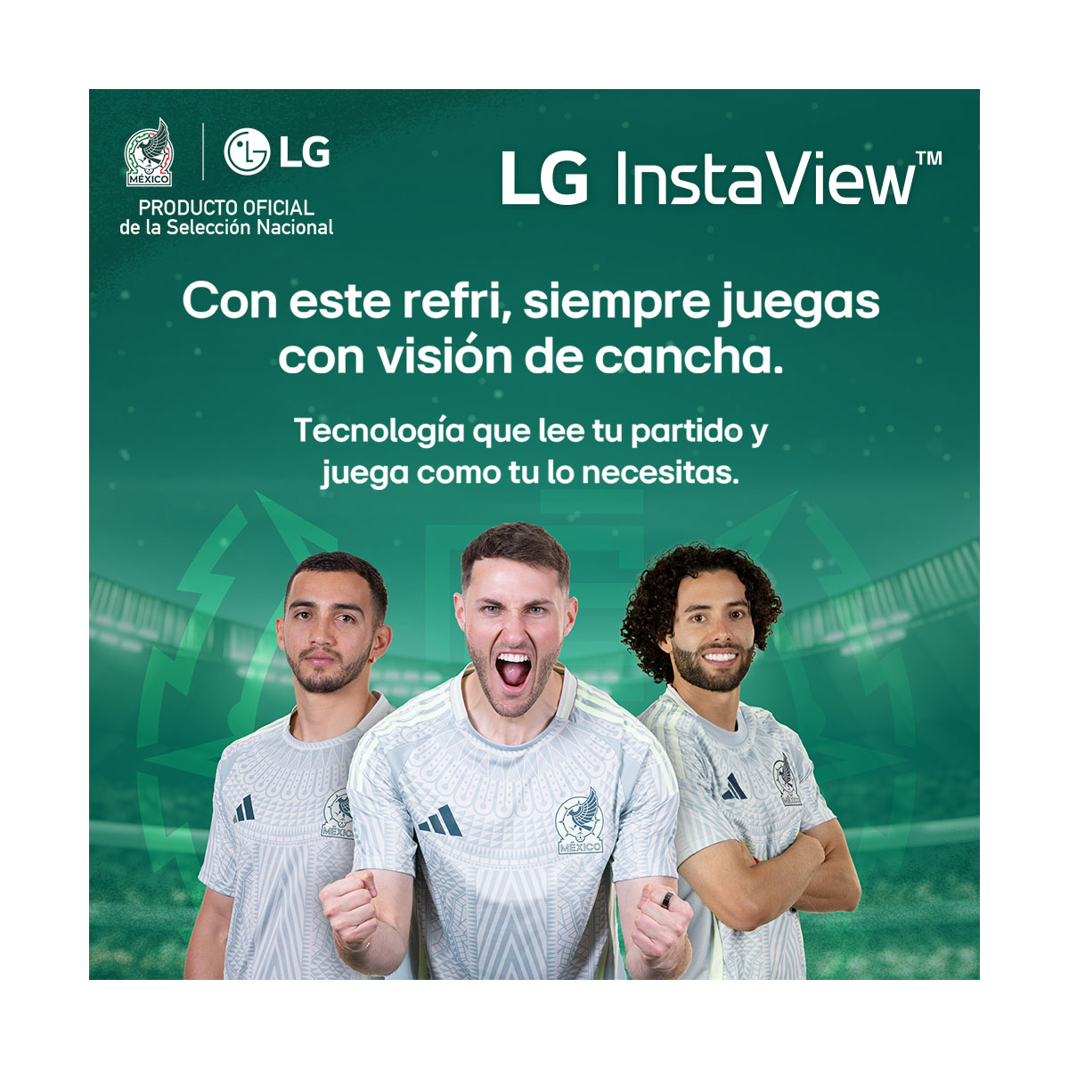 Refrigerador Lg Bottom Freezer 12P Gb35Bvb Beige