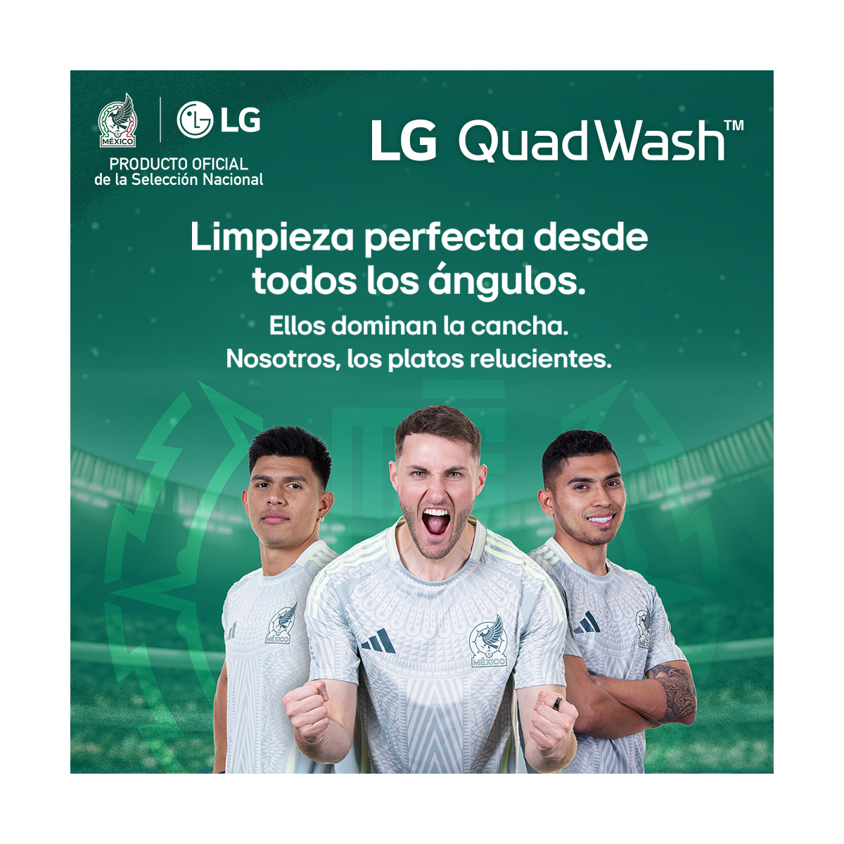 Lavavajillas LG 15 Servicios Ldfn3432T