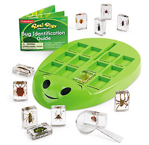 Real Bugs Discovery Kit