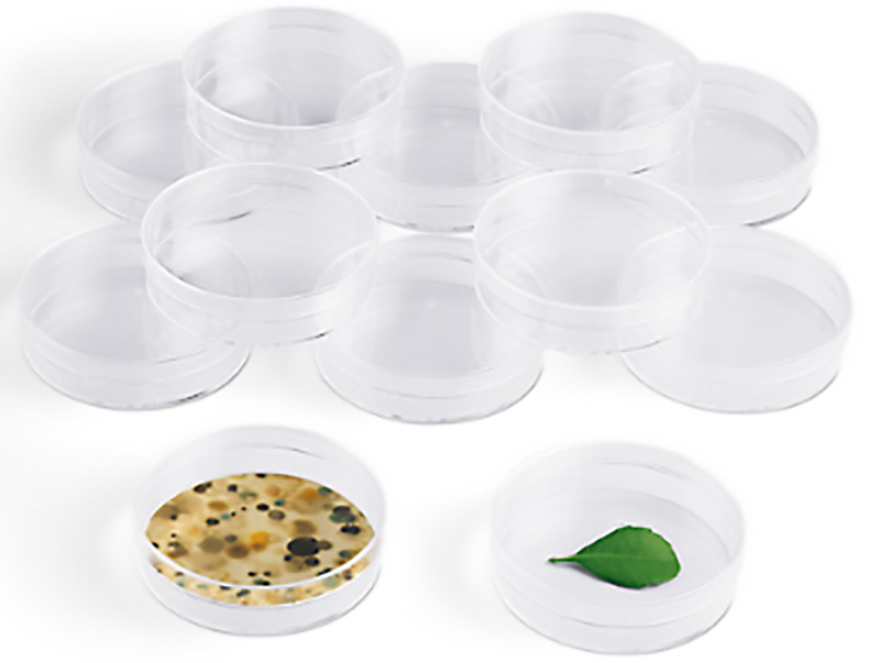 Petri Dishes - Set 12