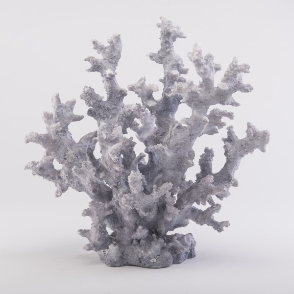 Coral Azul Grande - Azul - Këssa