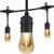 GE Enbrighten Vintage LED Cafe Lights, 12, 6 Bulbs