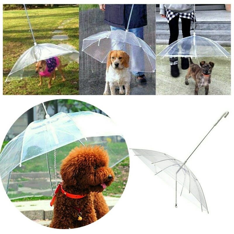 Paraguas Pet para Perros