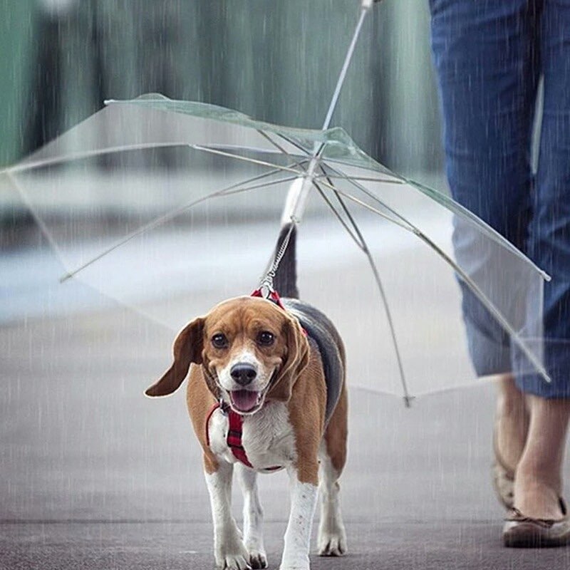 Paraguas Pet para Perros