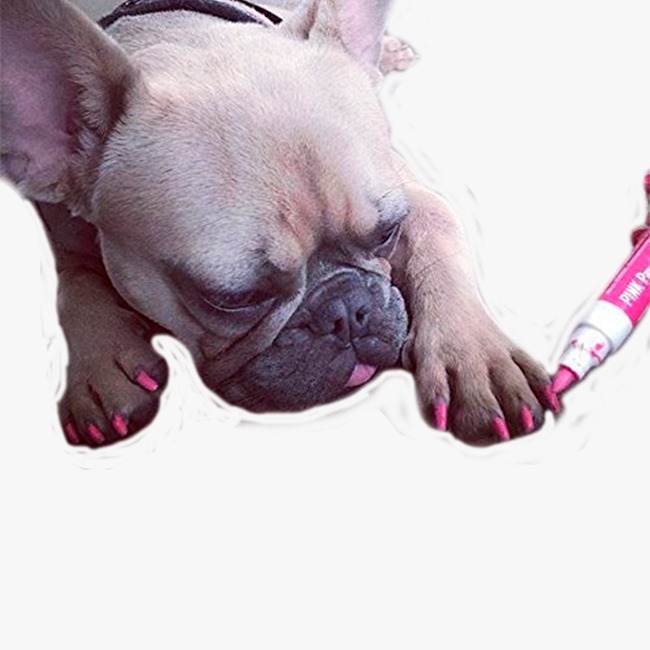 Warren London Pawdicure Polish Pen Esmalte De U?as Para Perros