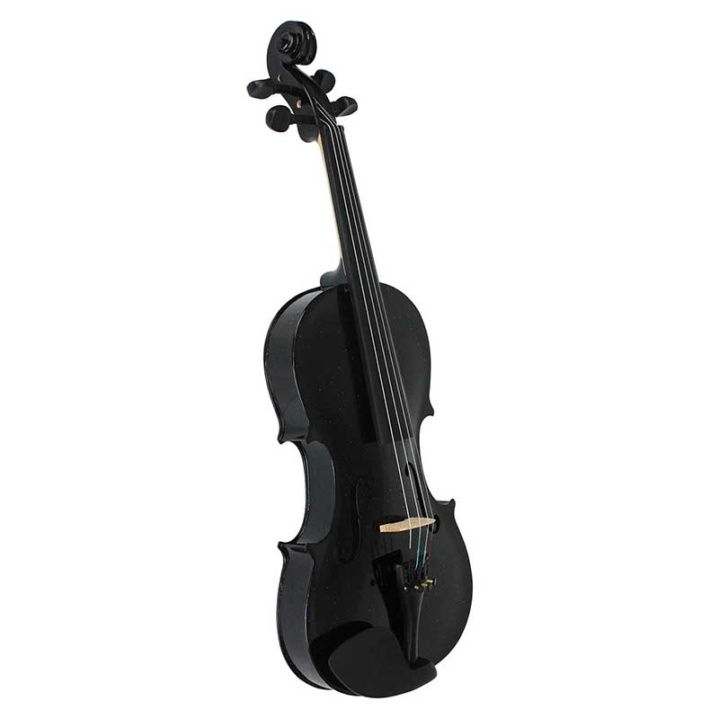 Violin 4/4 Acustico Profesional Madera Estuche Y Accesorios - Negro
