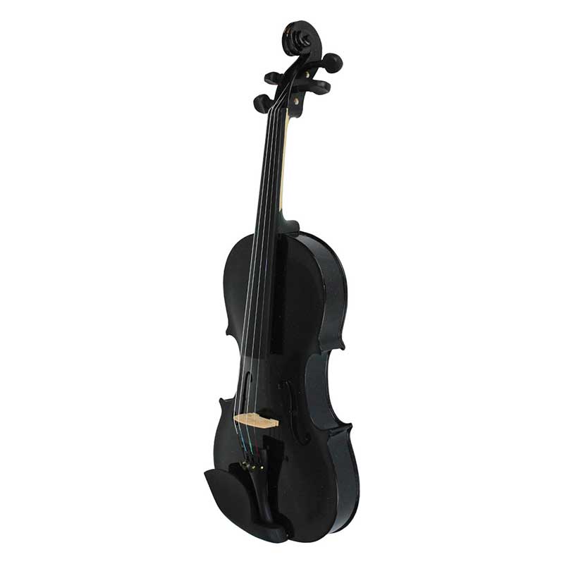 Violin 4/4 Acustico Profesional Madera Estuche Y Accesorios - Negro