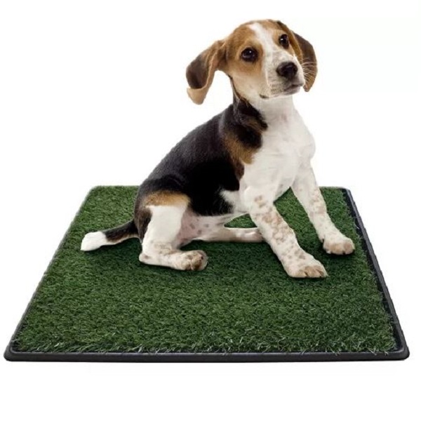 Tapete Sanitario para perro Green Carpet Mediano