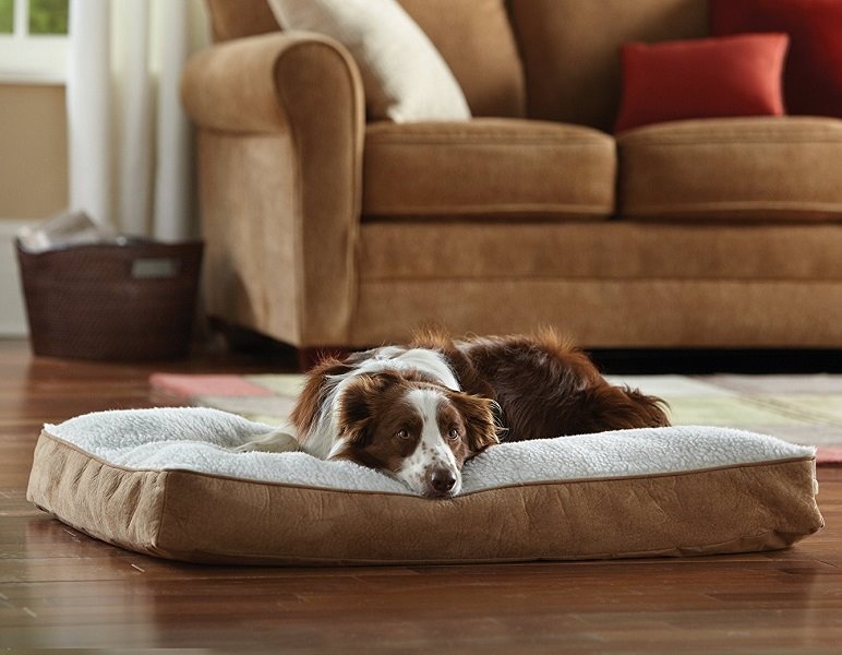 Cama Para Mascotas Sherpa Grande