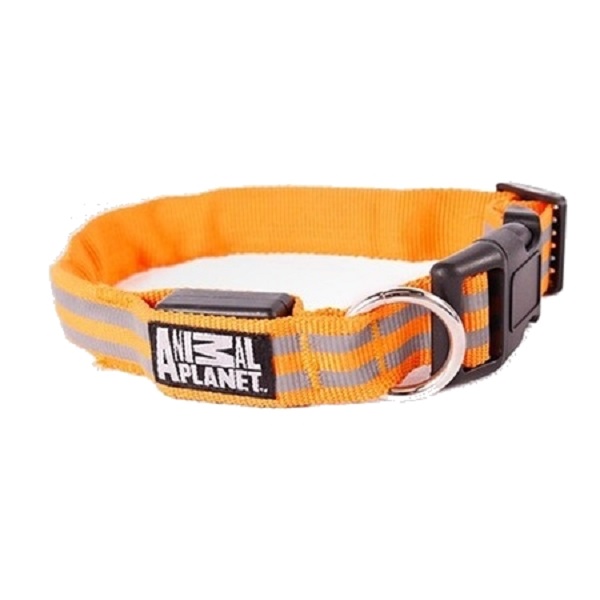 Collar Para Perro Con Led Y Antireflejante Chico Naranja