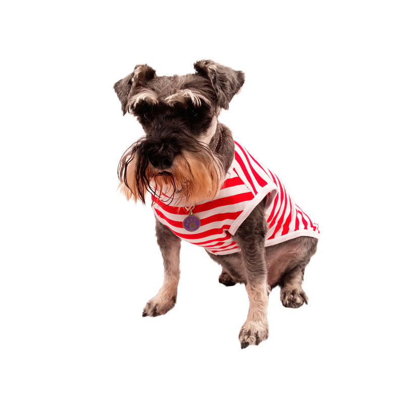 Nautical T-Shirt Red Pet Pals Boutique