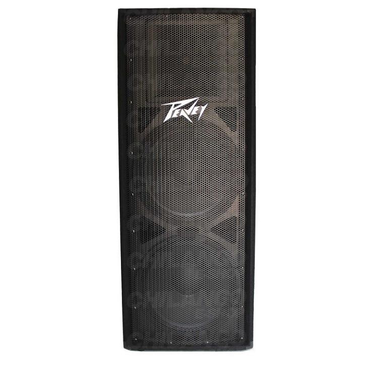 PEAVEY PV 215 PROFESIONAL CONCERT DOBLE 15