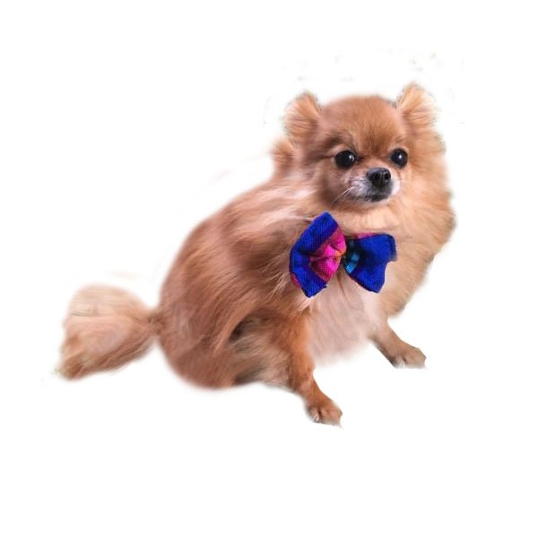 Collar ajustable con estilo mexicano para mascotas pequeñas marca El Rebozo de Dolce