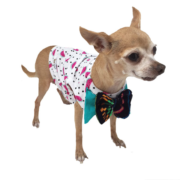 Playera De Sandias Para Mascotas Marca El Rebozo De Dolce