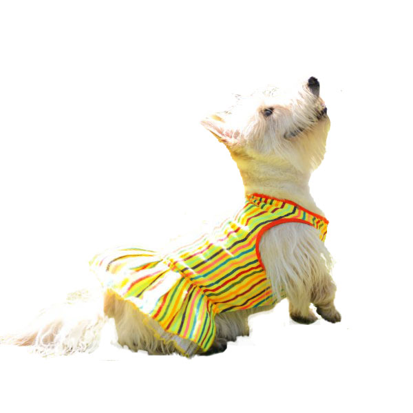 Vestido Quetzalli amarillo para mascotas marca El Rebozo de Dolce