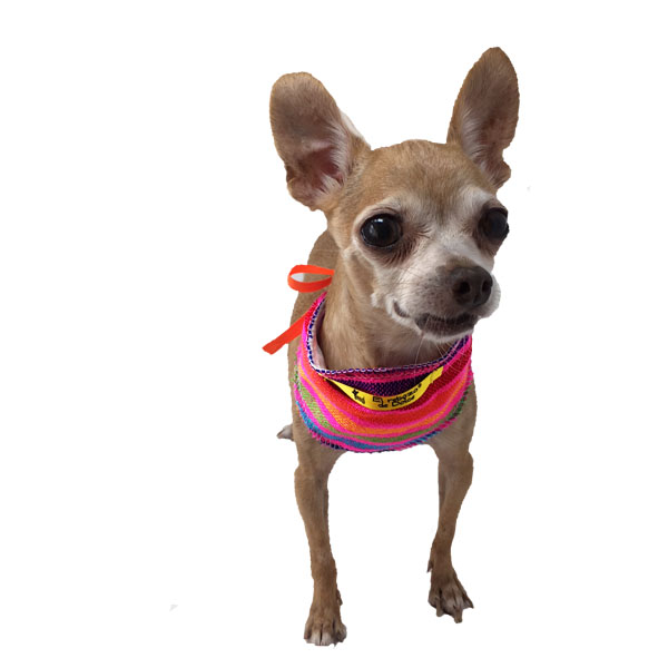 Paliacate colorido con estilo mexicano para mascotas pequeñas marca El Rebozo de Dolce