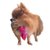 Corbata color rosa con estilo mexicano para mascotas pequeñas marca El Rebozo de Dolce