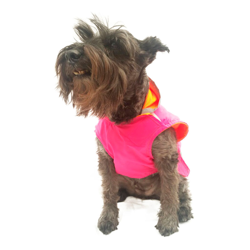 Raincoat Pink Pet Pals Boutique