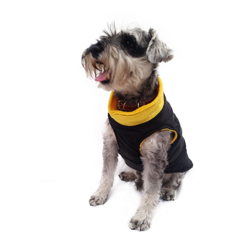 Chaleco Dog Sport Amarillo Pet Pals Boutique