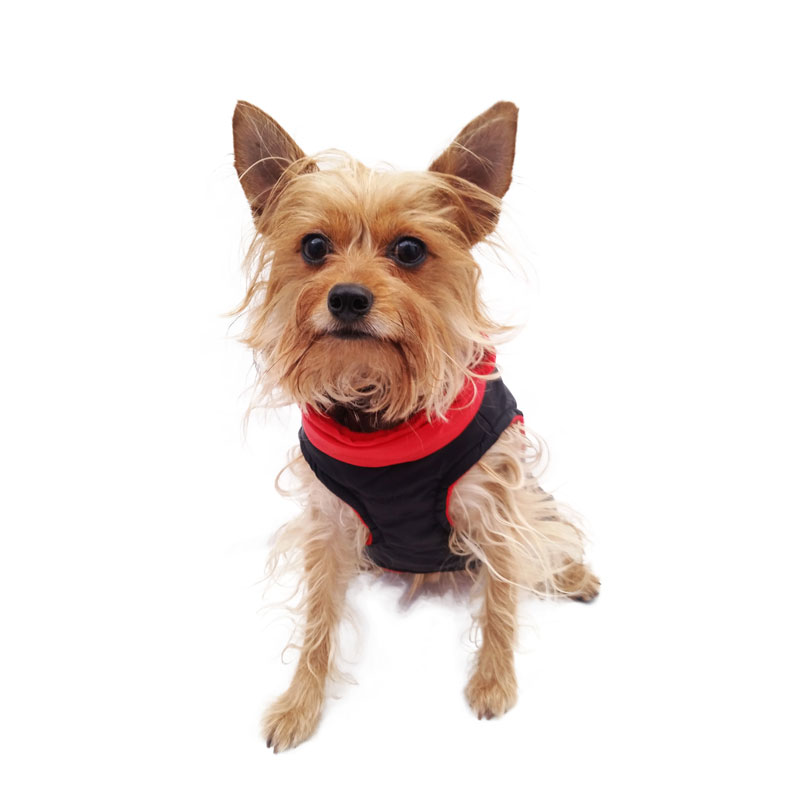 Chaleco Dog Sport Rojo Pet Pals Boutique