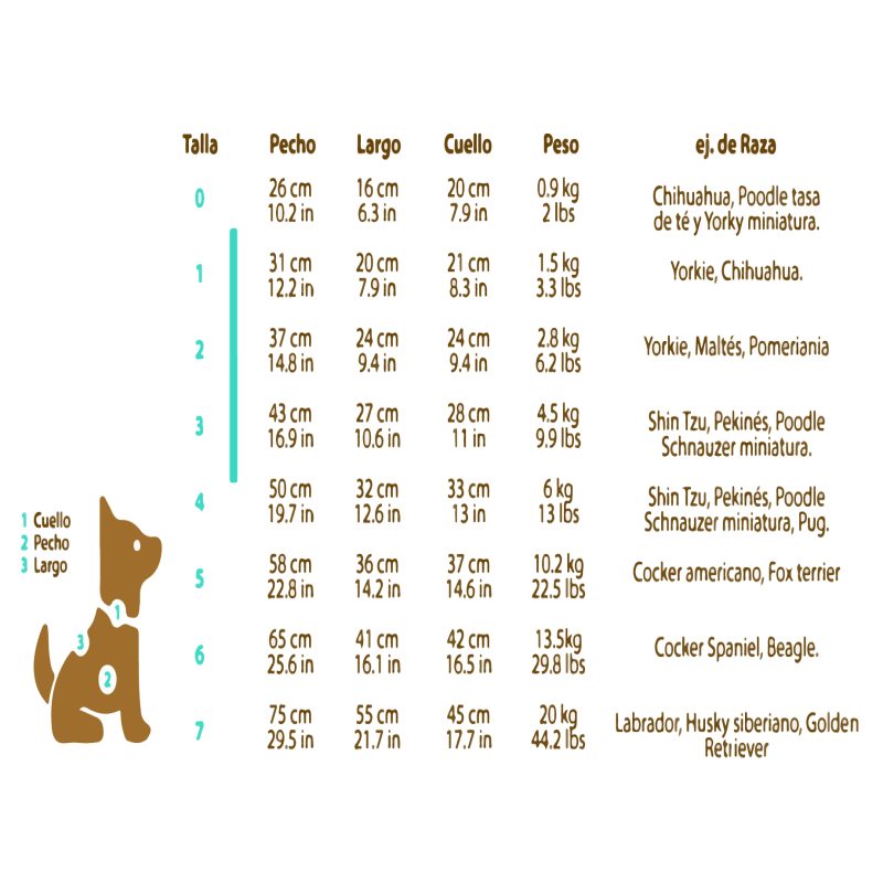 Vestido Glamour mexicano para mascotas marca El Rebozo de Dolce