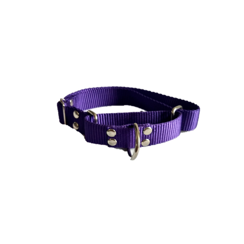 Collar Tipo Martinglade Para Perro, Entrenamiento Sin Dolor , Punky Fashion Pet
