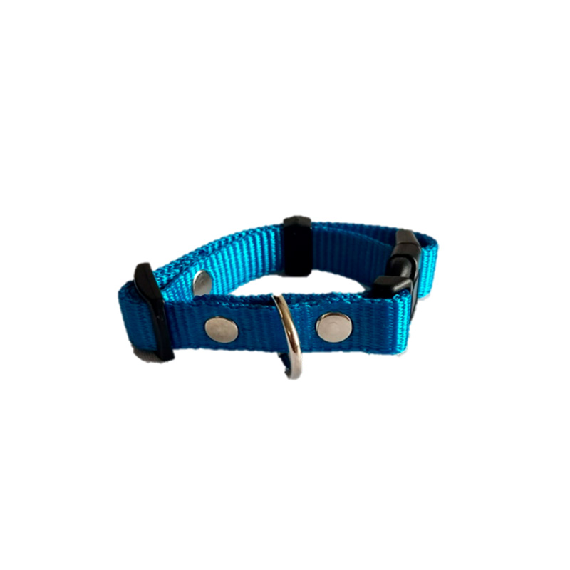 Collar Para Perro Razas Chicas Y Minis , Punky Fashion Pet