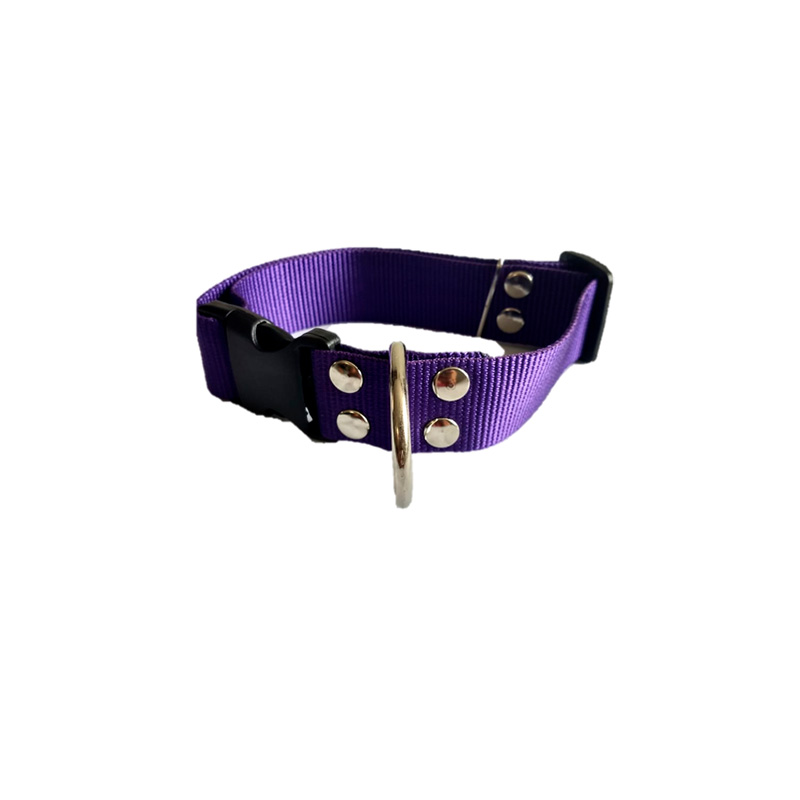 Collar Para Perro Broche Plastico Cinta Gruesa, Razas Grandes , Punky Fashion Pet