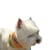 Kit de accesorios:  2 paliacates para perros talla mediana (amarillo y blanco) marca El Rebozo de Dolce