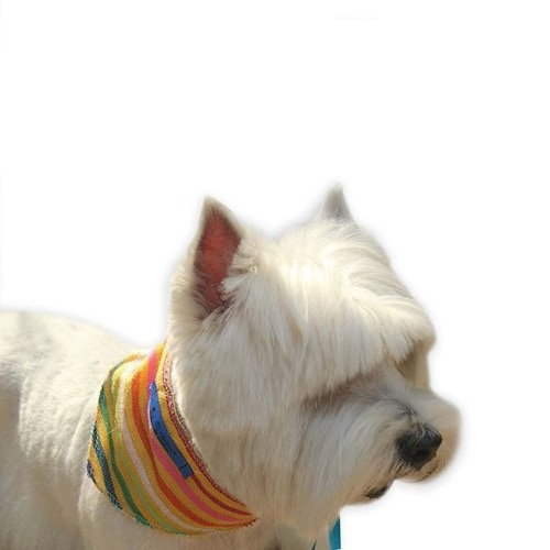 Kit de accesorios:  2 paliacates para perros talla mediana (amarillo y blanco) marca El Rebozo de Dolce