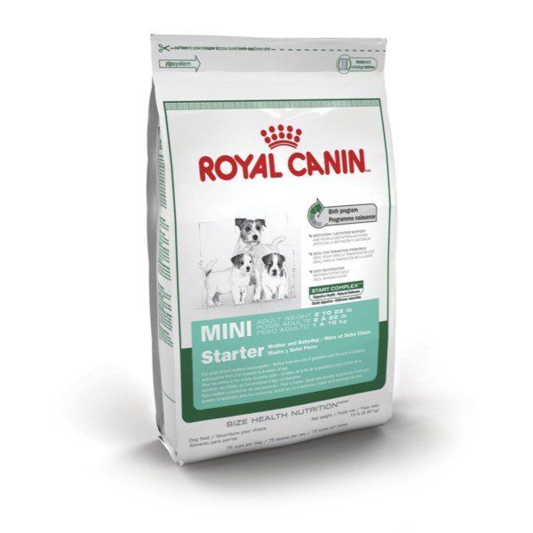 ROYAL CANIN mini starter para madres y cachorros 0,91 gramos