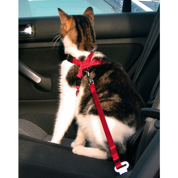 Trixie Arnés-Cinturón de seguridad para coche Gatos, 20-50 cm, Rojo