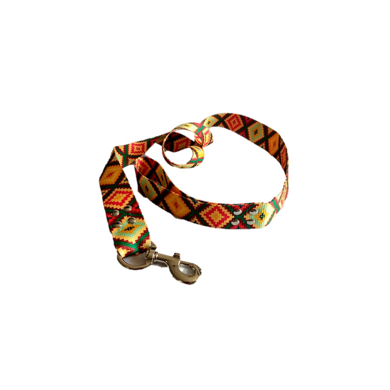 Correa Para Perro Reforzada Para Razas Grandes, Punky Fashion Pet