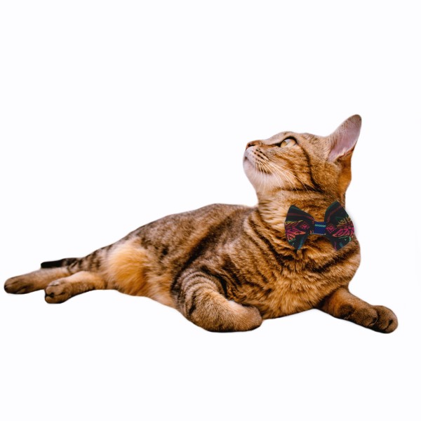 Moño colorido  con estilo mexicano para gatos  marca El Rebozo de Dolce
