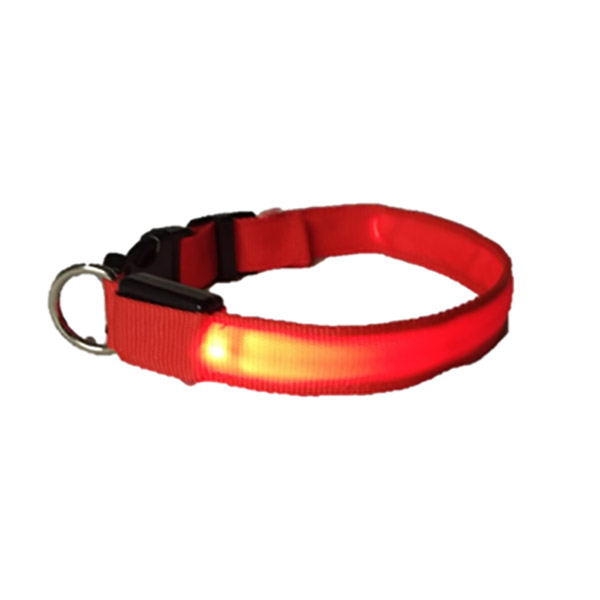 Collar Luz Led Para Paseos Nocturnos Razas Grandes, Punky Fashion Pet