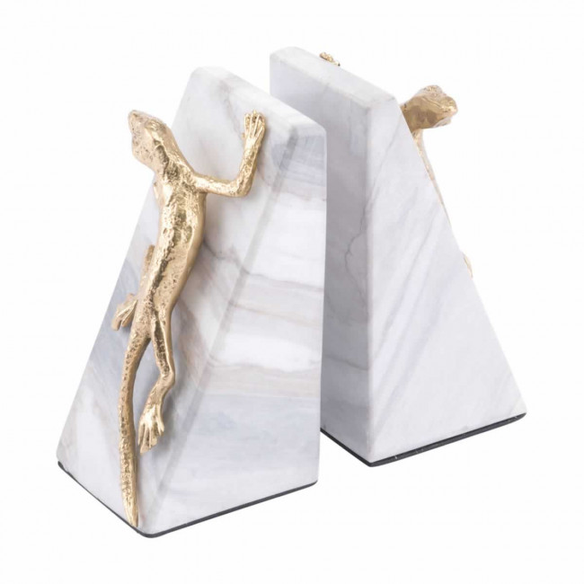 Accesorio Decorativo Modelo Iguana - Kessa