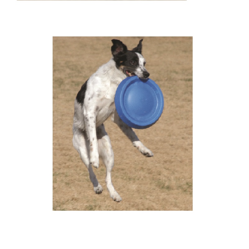 Frisbee Perro Durafoam Disco 11 Pulgadas Juguete Starmark